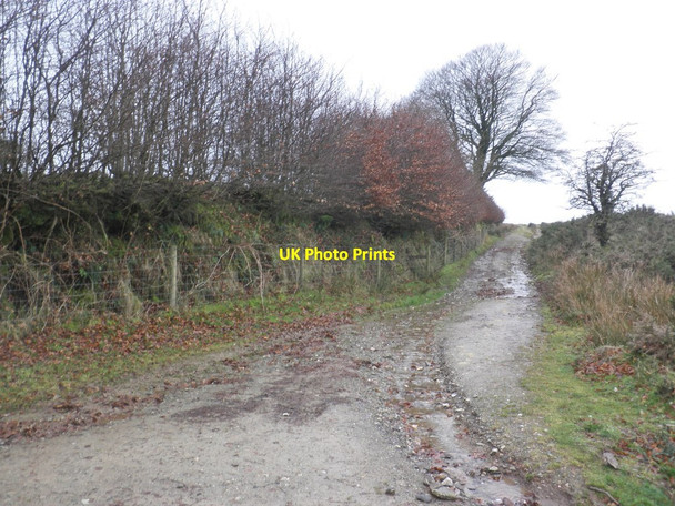 Photo 6"x4" Two Moors Way Withypool c2014