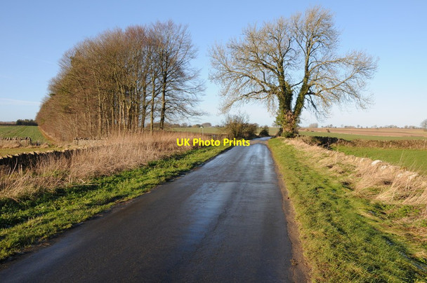 Photo 6"x4" Country road near Cold Aston Cold Aston c2013