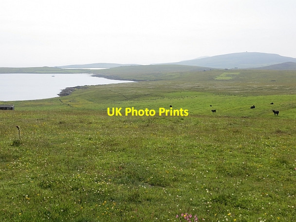 Photo 6"x4" Gunnista croftland Gunnista c2013