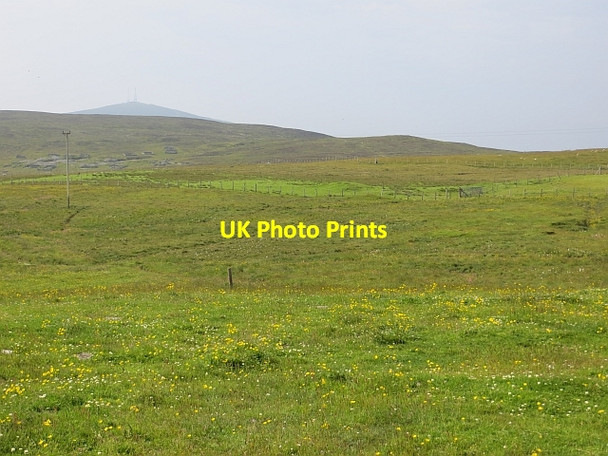 Photo 6"x4" Gunnista croftland Lerwick c2013