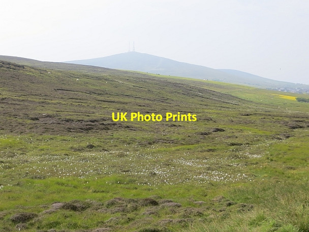 Photo 6"x4" Bressay moorland Lerwick c2013