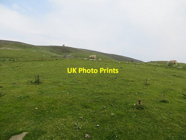 Photo 6"x4" Pasture beside Noss Sound Gunnista c2013