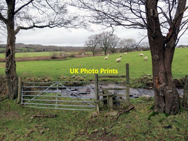 Photo 6"x4" Sticil \/ stile Garn-swllt c2014