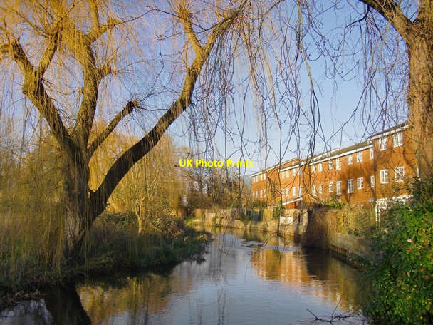 Photo 6"x4" The River Colne, at Staines Staines c2014