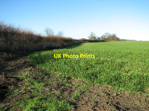 Photo 6"x4" Field beside Brock Road Hulver Street c2014