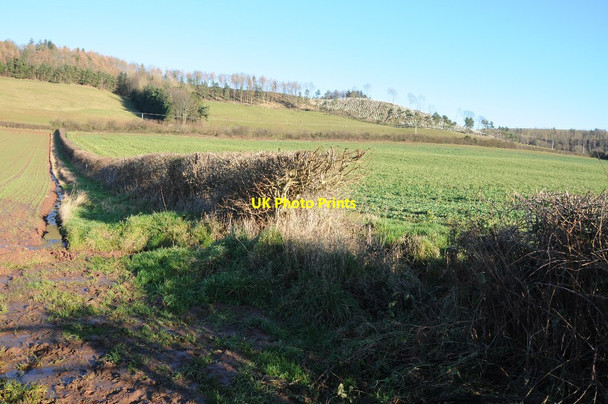 Photo 6"x4" Farmland in the Golden Valley Fine Street c2014