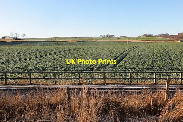 Photo 6"x4" Arable land, Pitreuchie Forfar c2014