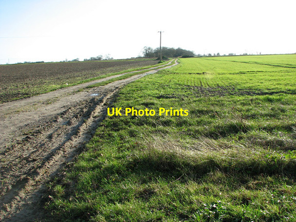 Photo 6"x4" Track into fields by Gisleham Grove Gisleham c2014