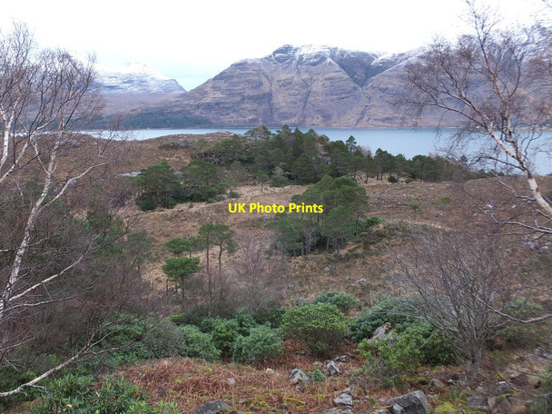 Photo 6"x4" Woodland, Carn an t-Suidhe Annat\/NG8954 c2014