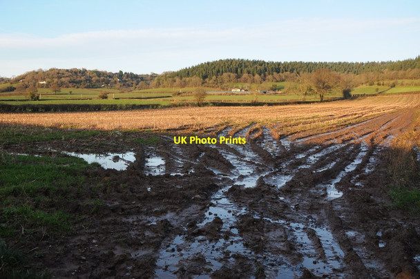 Photo 6"x4" Arable land below Derndale Hill Canon Pyon c2014