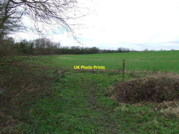 Photo 6"x4" Footpath Junction Church End\/TL5841 c2014