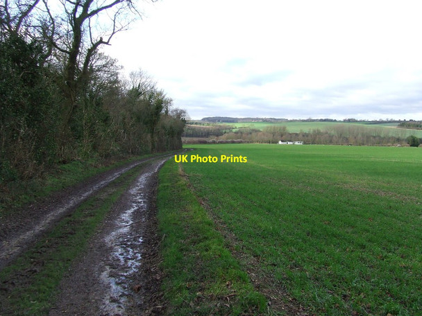 Photo 6"x4" Footpath And Track Ashdon c2014