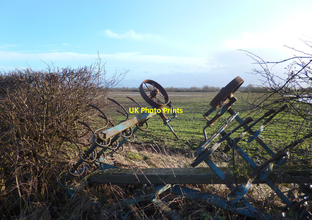 Photo 6"x4" Gap in the Hedge East Hanney c2014