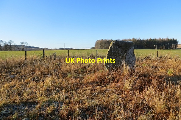 Photo 6"x4" Standing stone, Westerton Mains of Balgavies c2014