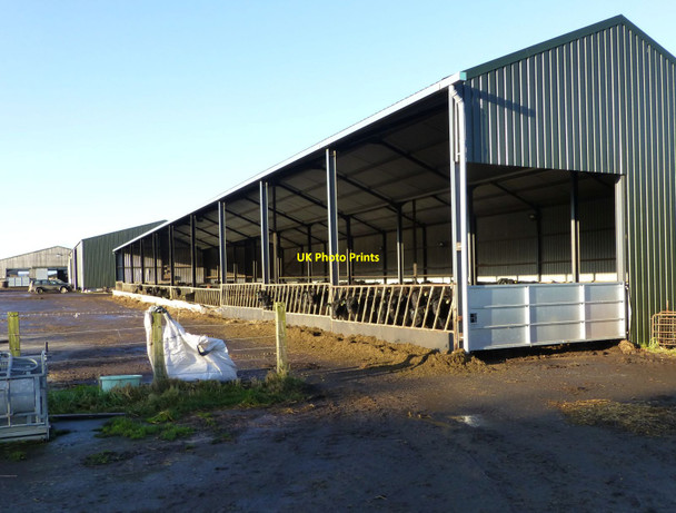 Photo 6"x4" Cattle shed on Brunton Airfield (disused) Tughall c2014