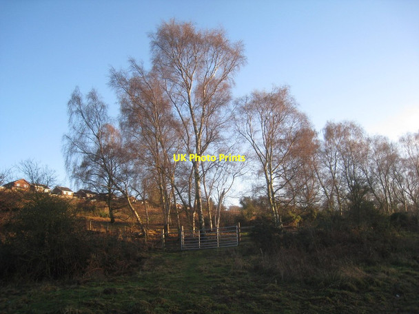 Photo 6"x4" On Atkinson's Warren Scunthorpe c2014