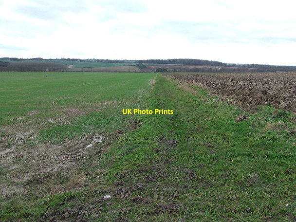 Photo 6"x4" Field Boundaries Bartlow c2014