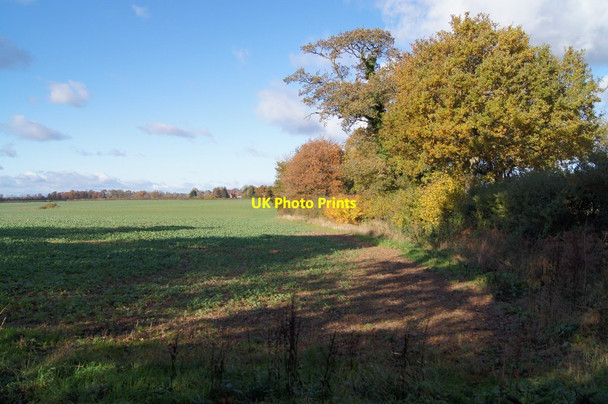 Photo 6"x4" Farmland at Northington Corner East Stratton c2013