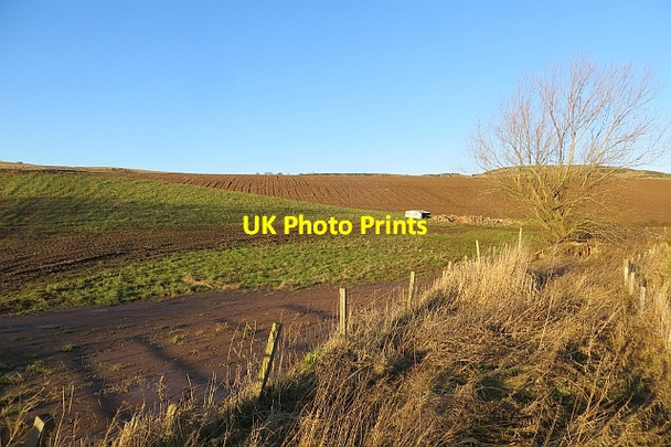 Photo 6"x4" Fields, Rescobie Rescobie c2014