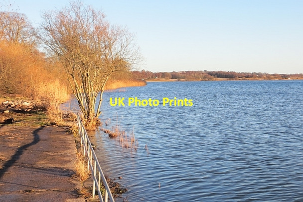 Photo 6"x4" Rescobie Loch East Mains of Burnside c2014