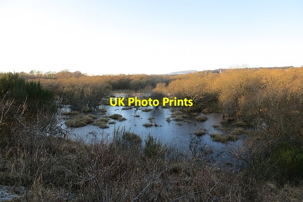 Photo 6"x4" Restenneth Moss Lunanhead c2014
