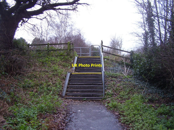 Photo 6"x4" Pinn Lane is no more Monkerton c2014