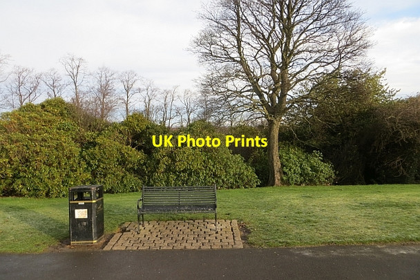 Photo 6"x4" Park bench Musselburgh c2014