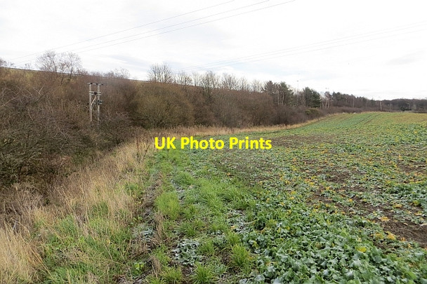 Photo 6"x4" Field, Old Craighall Stoneybank c2014