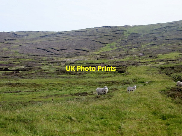 Photo 6"x4" Virda Dale Grindiscol c2013