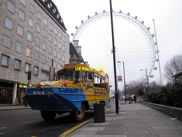 Photo 6"x4" Miranda the duck takes a rest Westminster c2014