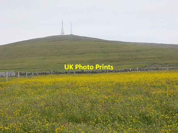 Photo 6"x4" Meadow, Kirkabister Grindiscol c2013