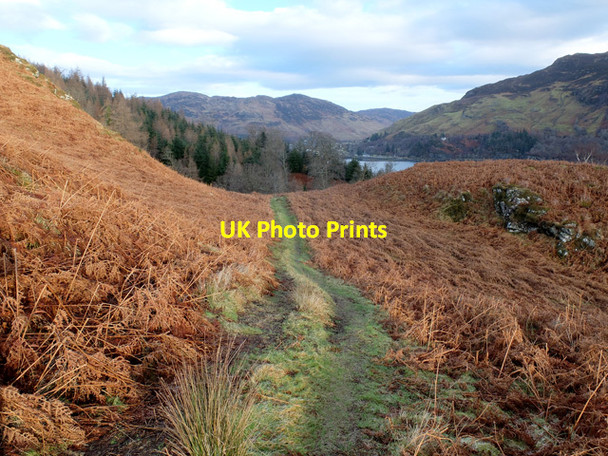 Photo 6"x4" Track above Druidaig Lodge Letterfearn c2014