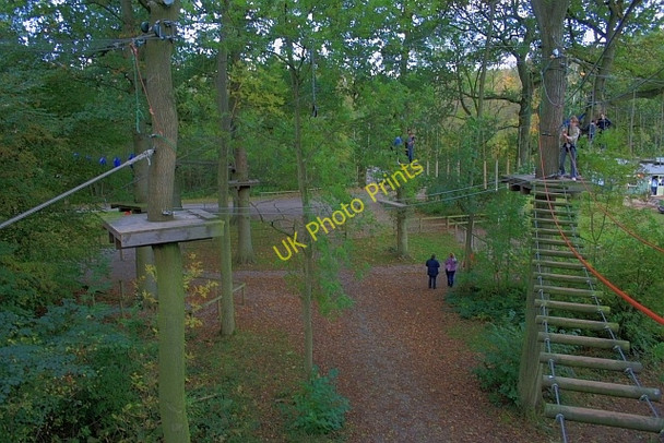 Photo 6"x4" Aerial Extreme Ropes Course Camp Hill\/SE3182 c2008
