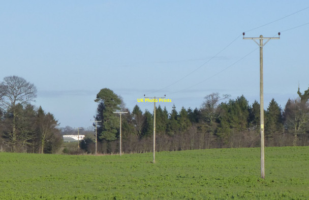 Photo 6"x4" Telegraph poles heading for Long Plantation Chathill\/NU1826 c2014