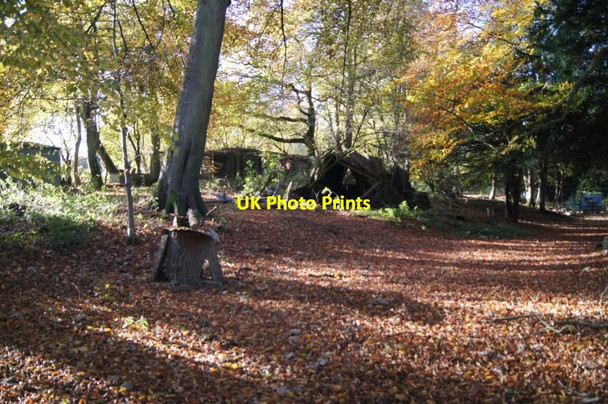 Photo 6"x4" Remains of something East Stratton c2013
