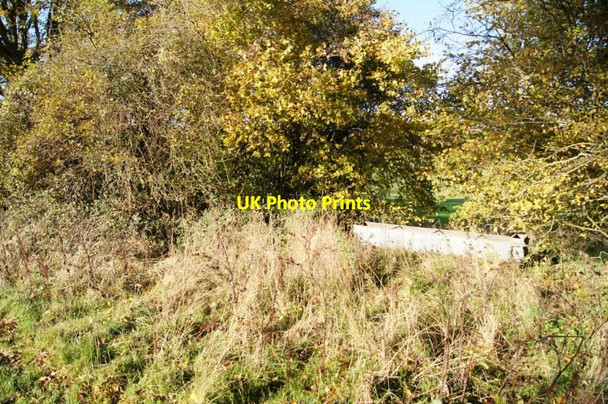 Photo 6"x4" Long forgotten East Stratton c2013