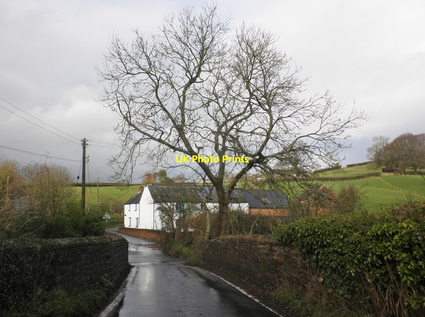 Photo 6"x4" Harpford Bridge and Farm Holywell Lake c2014