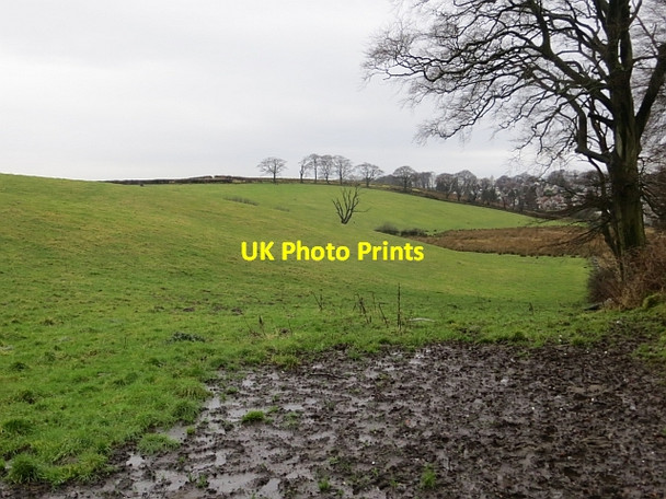 Photo 6"x4" Wet fields, Boclair Milngavie c2014