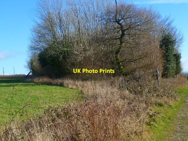 Photo 6"x4" Bridleway junction on Sutton Down Upwaltham c2014