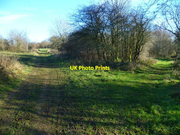 Photo 6"x4" Crossing tracks on the Downs Bignor c2014