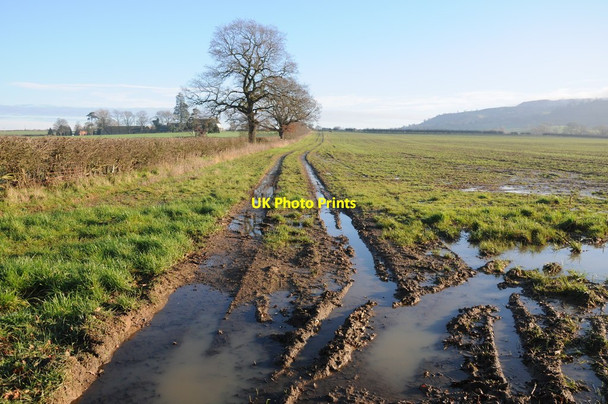 Photo 6"x4" Farmland, Eckington Field Farm Eckington\/SO9241 c2014