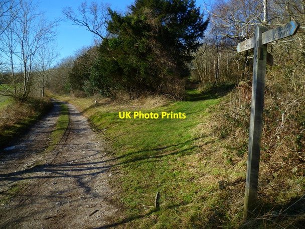 Photo 6"x4" Bridleways diverge east of Gumber Corner Bignor c2014