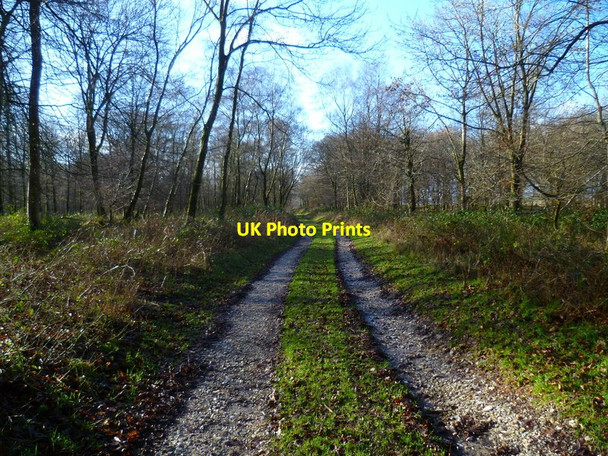 Photo 6"x4" Bridleway going west on the top of Upwaltham Hill Upwaltham c2014