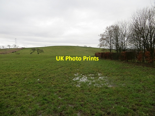 Photo 6"x4" Wet field, Barnellan Fluchter c2014