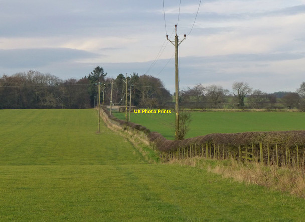 Photo 6"x4" Electricity poles follow the hedgeline Fair Moor c2014