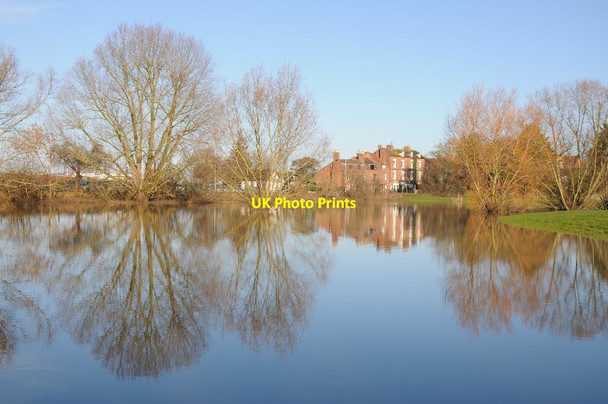 Photo 6"x4" Houses on Gloucester Road reflected in floodwater Tewkesbury c2014