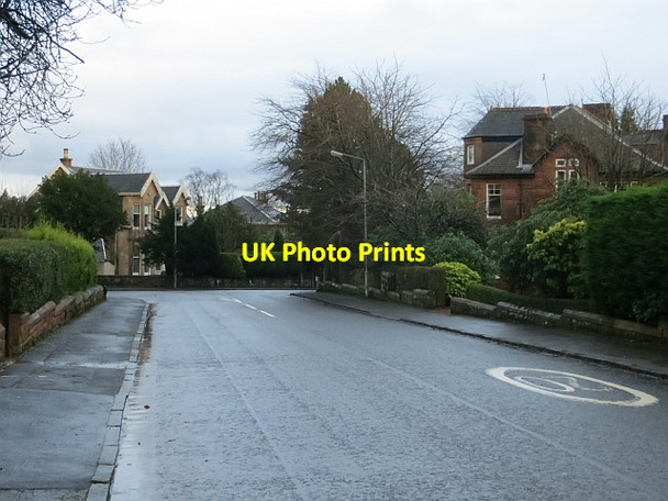 Photo 6"x4" Thorn Drive Bearsden c2014