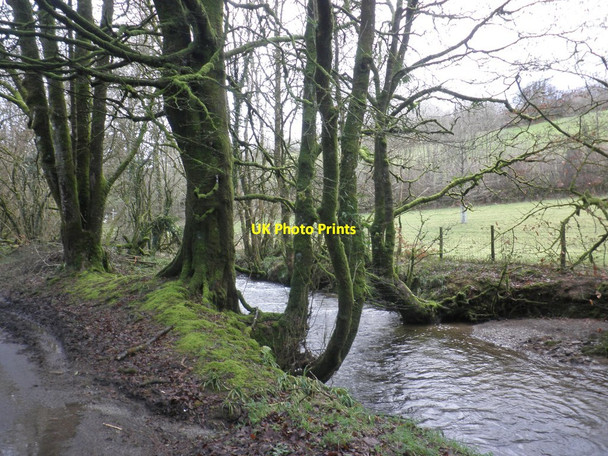 Photo 6"x4" River Exe, near Riscombe Edgcott\/SS8438 c2014