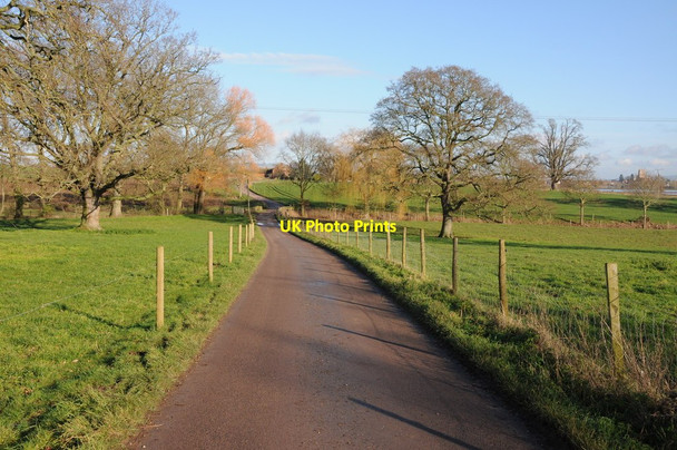 Photo 6"x4" Drive to Home Farm, Forthampton Tewkesbury c2014