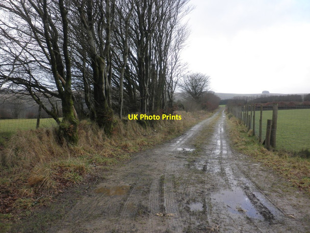 Photo 6"x4" Farm track, above the Exe Valley Edgcott\/SS8438 c2014